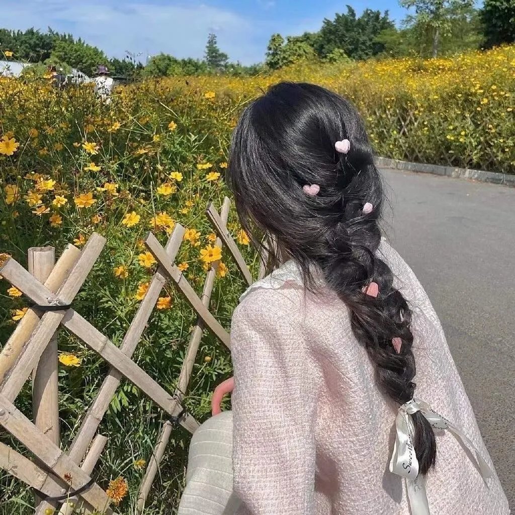 护花大臣